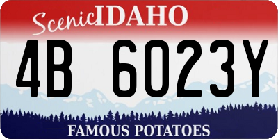 ID license plate 4B6023Y