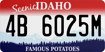 ID license plate 4B6025M