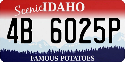 ID license plate 4B6025P