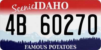 ID license plate 4B6027O
