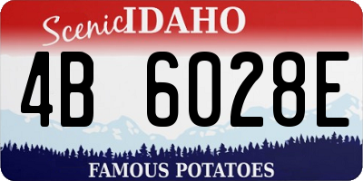ID license plate 4B6028E