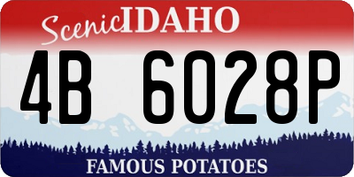 ID license plate 4B6028P