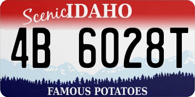 ID license plate 4B6028T