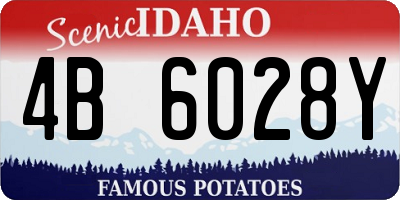 ID license plate 4B6028Y