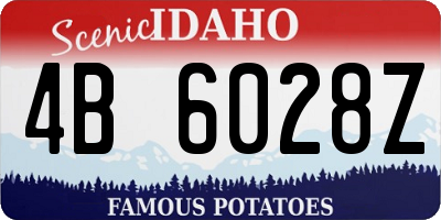ID license plate 4B6028Z