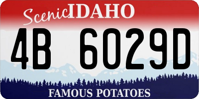 ID license plate 4B6029D