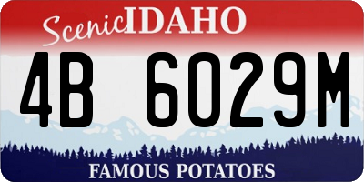 ID license plate 4B6029M