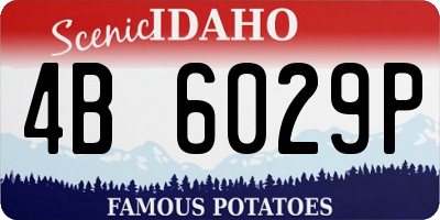 ID license plate 4B6029P
