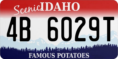 ID license plate 4B6029T