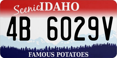 ID license plate 4B6029V