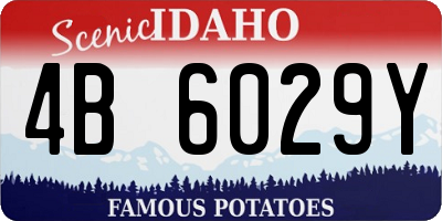 ID license plate 4B6029Y