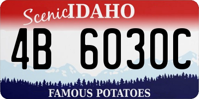 ID license plate 4B6030C