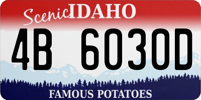 ID license plate 4B6030D