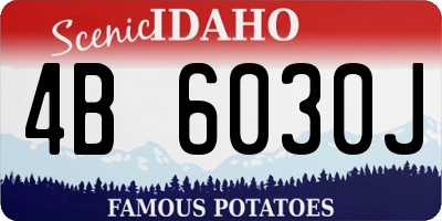 ID license plate 4B6030J