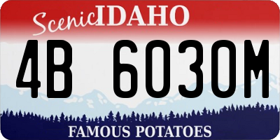 ID license plate 4B6030M