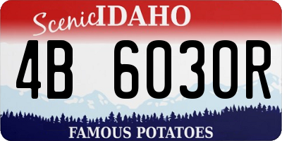 ID license plate 4B6030R