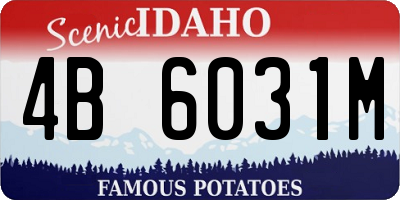 ID license plate 4B6031M