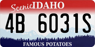 ID license plate 4B6031S