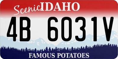 ID license plate 4B6031V