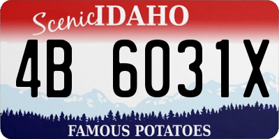 ID license plate 4B6031X