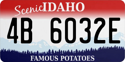 ID license plate 4B6032E