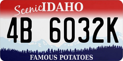 ID license plate 4B6032K