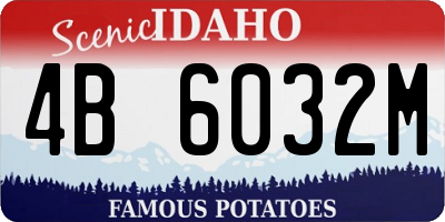 ID license plate 4B6032M