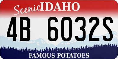 ID license plate 4B6032S