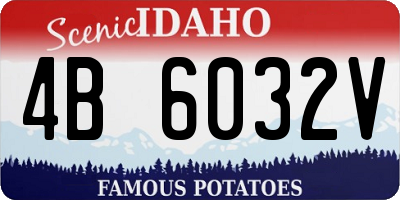 ID license plate 4B6032V