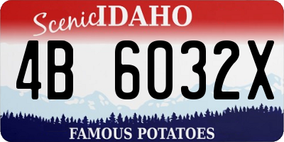 ID license plate 4B6032X