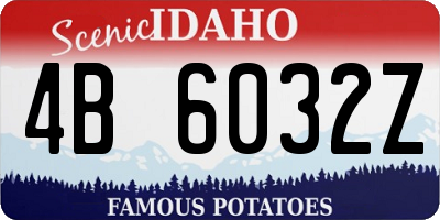 ID license plate 4B6032Z