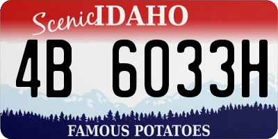 ID license plate 4B6033H