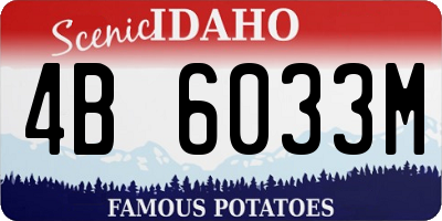 ID license plate 4B6033M