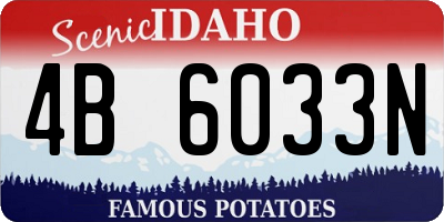 ID license plate 4B6033N