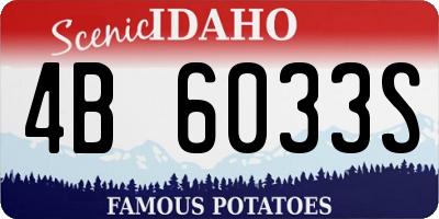 ID license plate 4B6033S