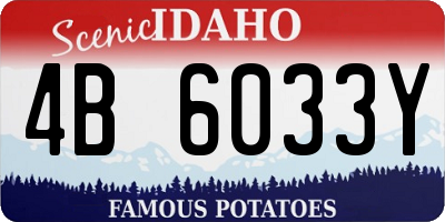ID license plate 4B6033Y