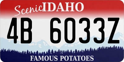 ID license plate 4B6033Z