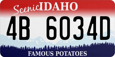 ID license plate 4B6034D