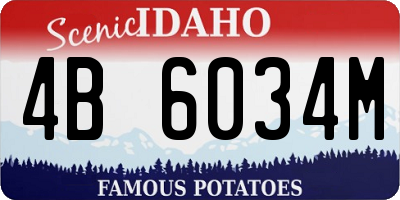 ID license plate 4B6034M