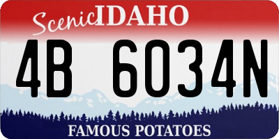 ID license plate 4B6034N
