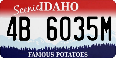 ID license plate 4B6035M