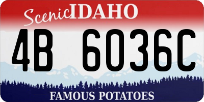 ID license plate 4B6036C