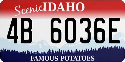 ID license plate 4B6036E