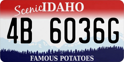 ID license plate 4B6036G