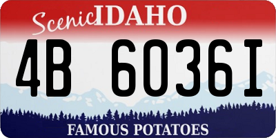 ID license plate 4B6036I