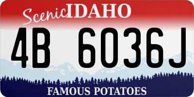 ID license plate 4B6036J