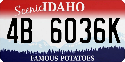ID license plate 4B6036K