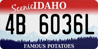 ID license plate 4B6036L
