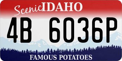 ID license plate 4B6036P