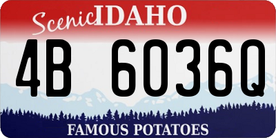 ID license plate 4B6036Q